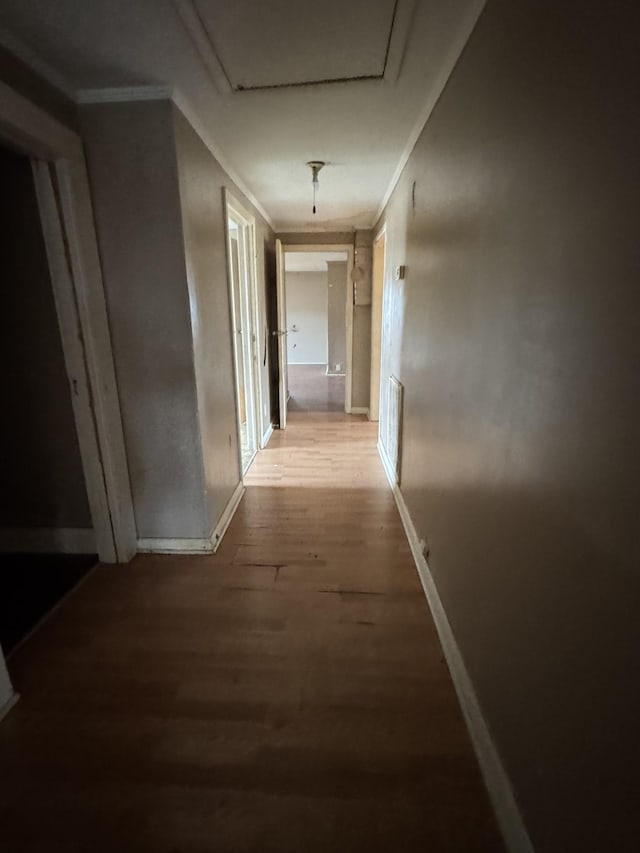 corridor featuring hardwood / wood-style flooring