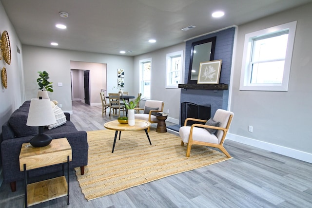 living room featuring wood-type flooring and a fireplace