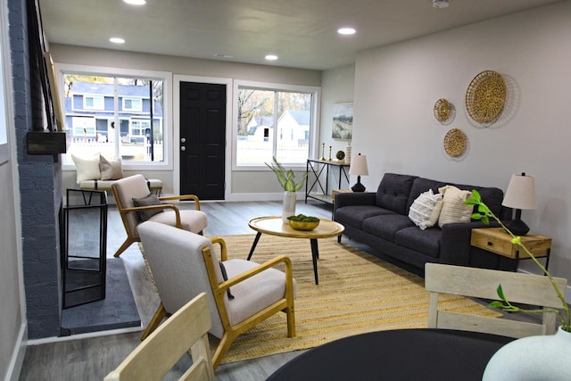 living room with wood-type flooring