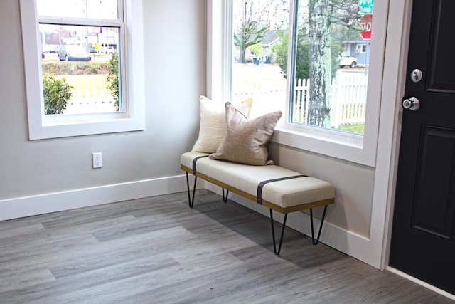 sitting room featuring light hardwood / wood-style floors and a healthy amount of sunlight