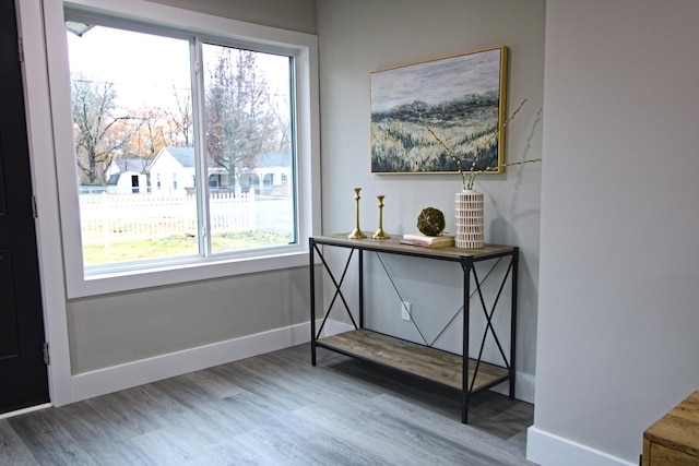 interior space with wood-type flooring