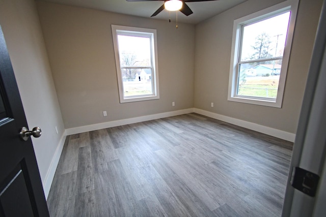 spare room featuring ceiling fan, plenty of natural light, and hardwood / wood-style flooring