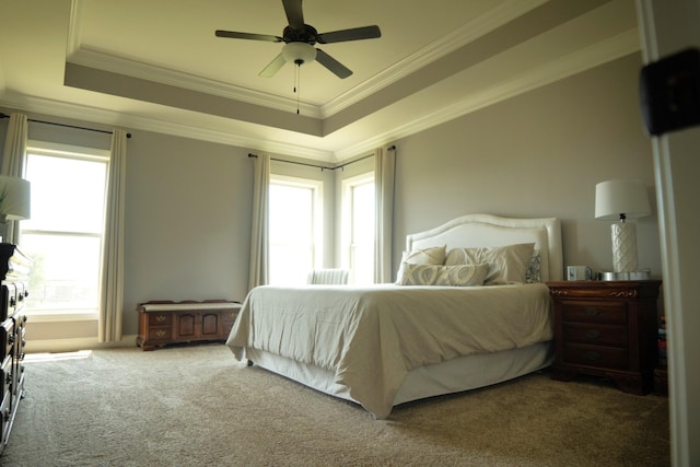 carpeted bedroom with ceiling fan, a raised ceiling, crown molding, and multiple windows