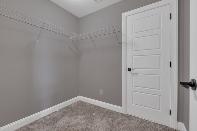 walk in closet featuring carpet