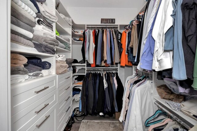 spacious closet with wood-type flooring