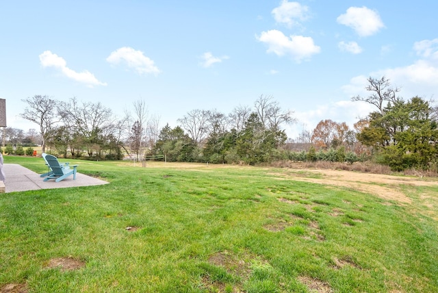 view of yard featuring a patio area