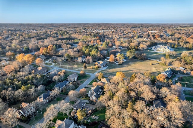 drone / aerial view