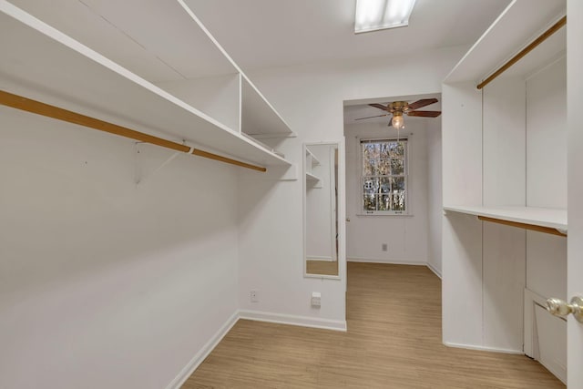 spacious closet featuring ceiling fan and light hardwood / wood-style floors