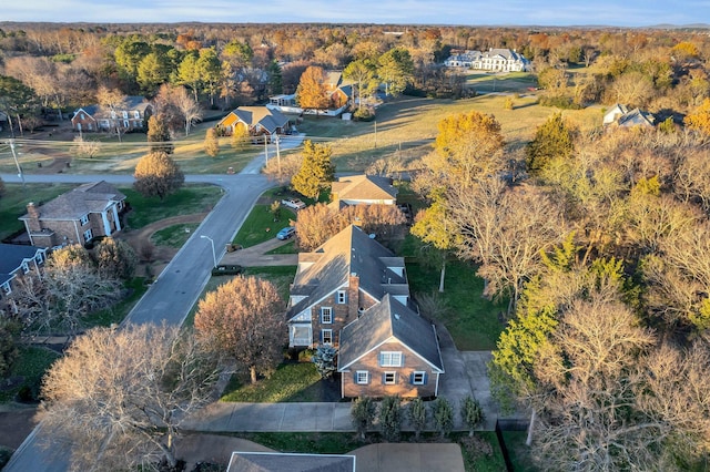 bird's eye view