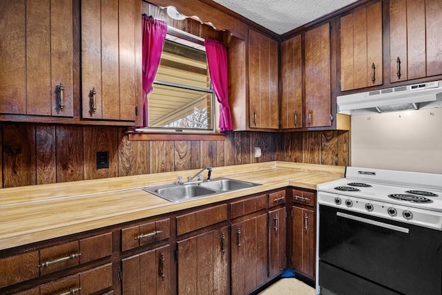 kitchen featuring white range with electric stovetop, dark brown cabinetry, and sink