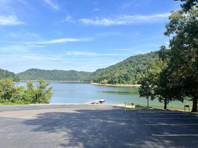 194 Johnson Chapel Rd, Sparta, TN 38583 - photo 33