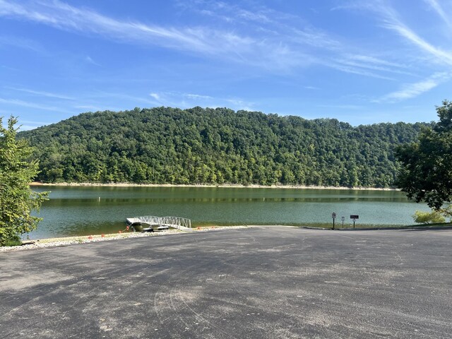 194 Johnson Chapel Rd, Sparta, TN 38583 - photo 35