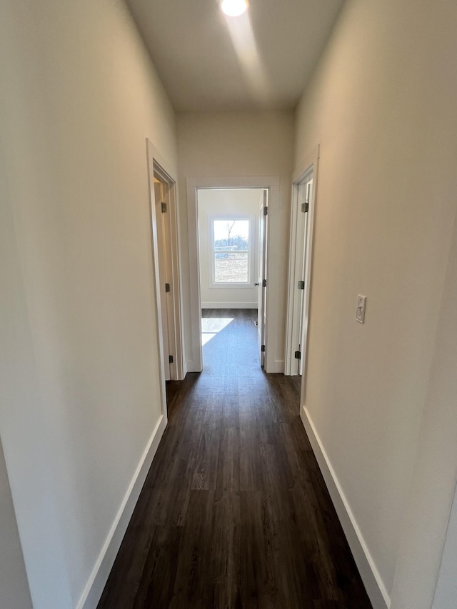 hallway featuring dark hardwood / wood-style flooring