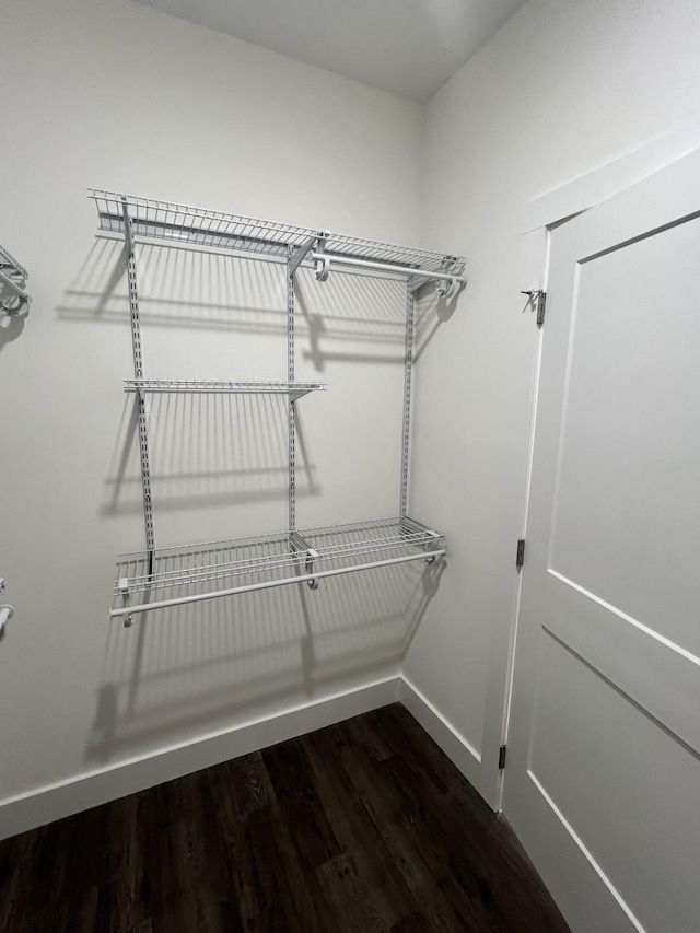 walk in closet featuring dark wood-type flooring