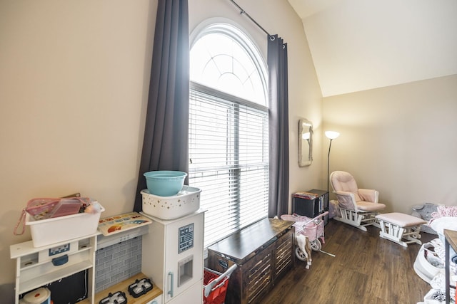 rec room featuring dark hardwood / wood-style flooring and lofted ceiling