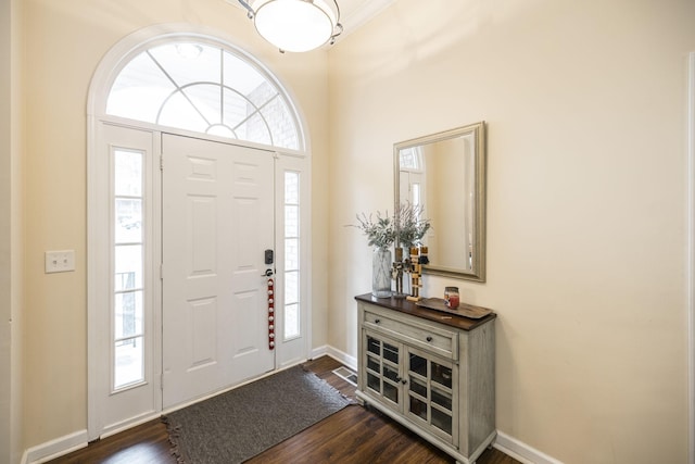 foyer entrance featuring dark hardwood / wood-style flooring and a healthy amount of sunlight