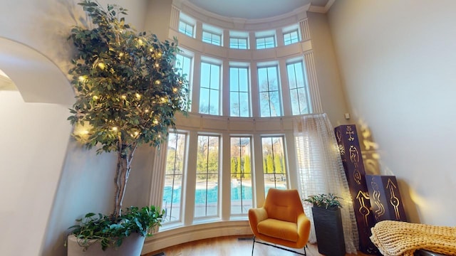 living area with a high ceiling