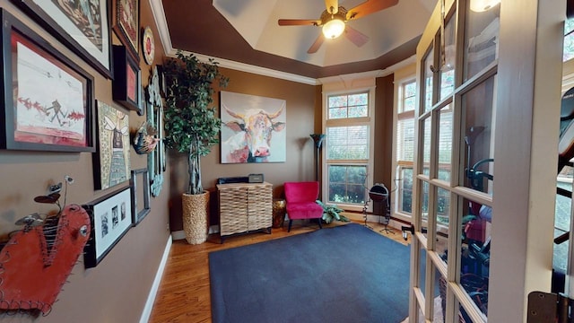 workout room featuring ceiling fan, a raised ceiling, wood-type flooring, and ornamental molding