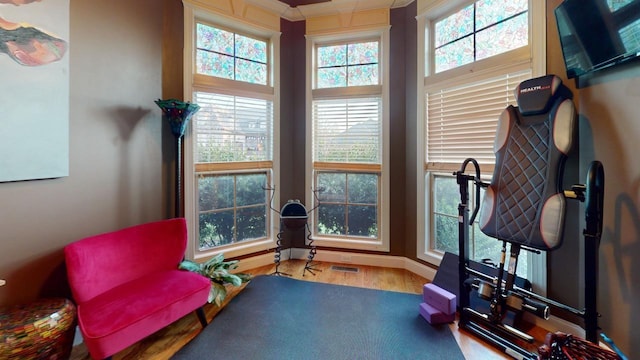 interior space featuring hardwood / wood-style flooring and crown molding