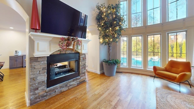 living room with a fireplace and light wood-type flooring