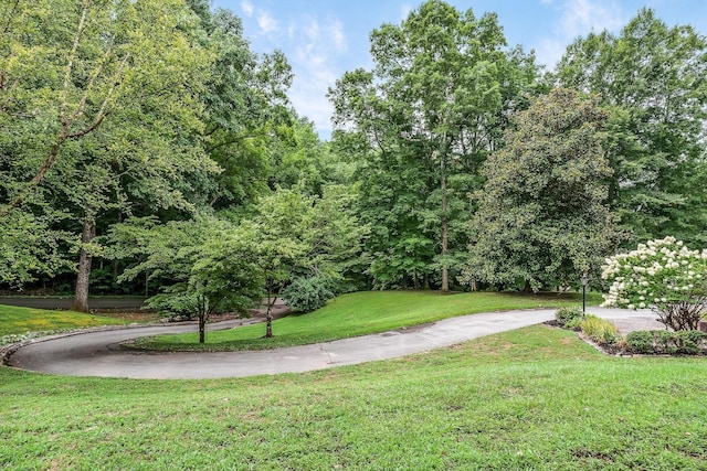 view of property's community with a lawn