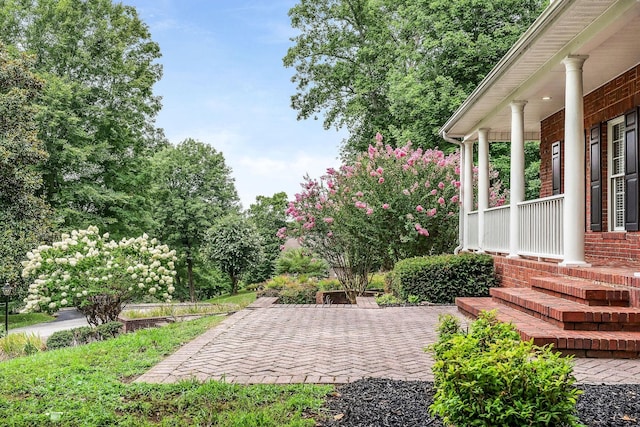 view of patio / terrace with covered porch