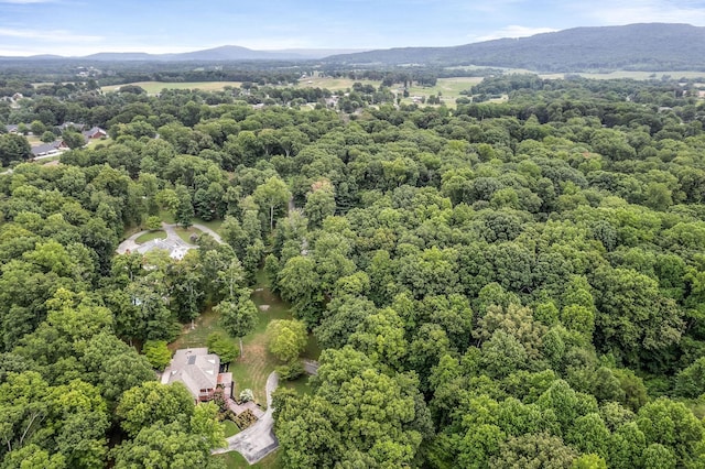 drone / aerial view with a mountain view