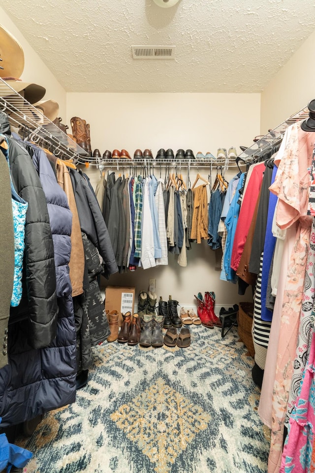 view of spacious closet