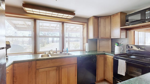 kitchen with black appliances and sink