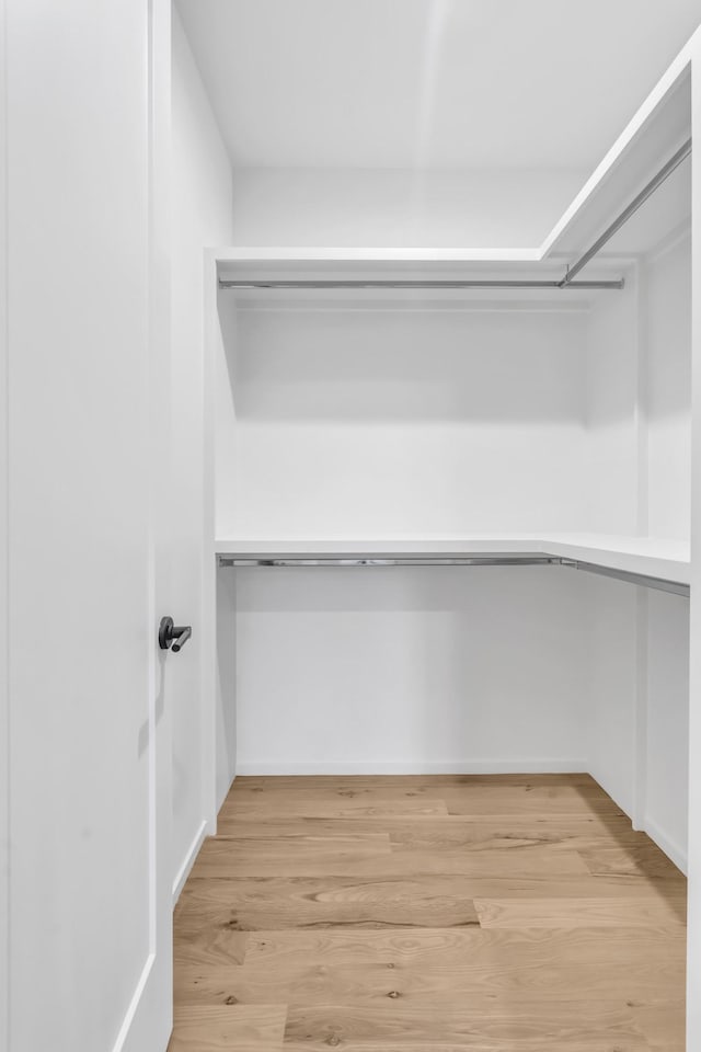 walk in closet featuring light wood-type flooring