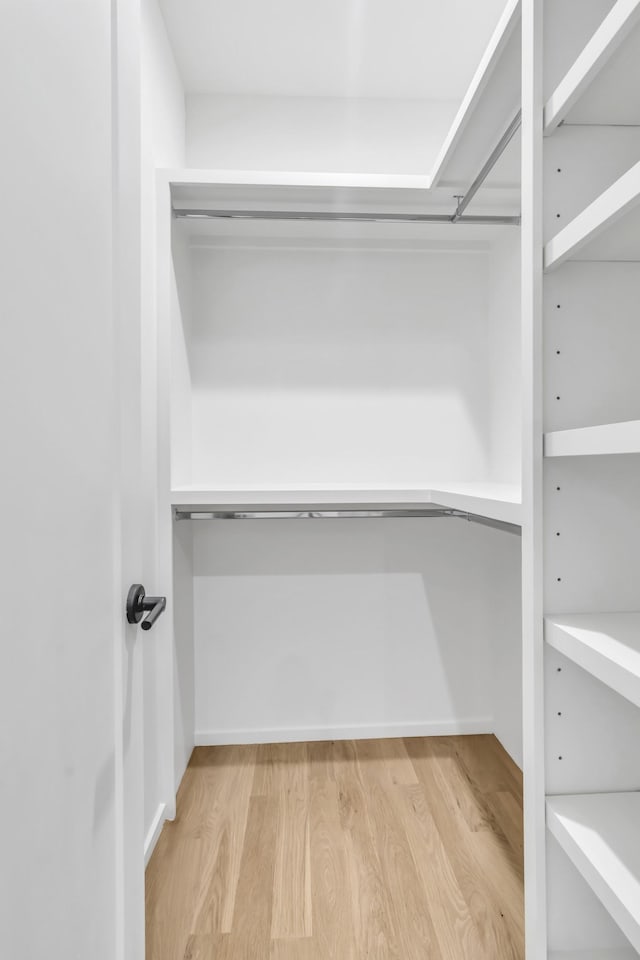 spacious closet featuring light hardwood / wood-style flooring