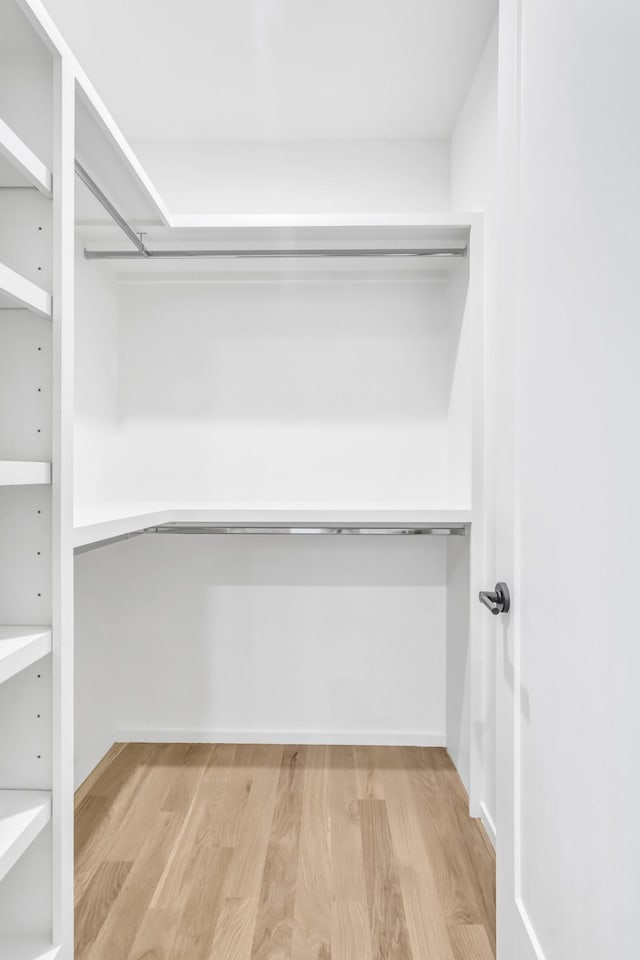 spacious closet featuring wood-type flooring