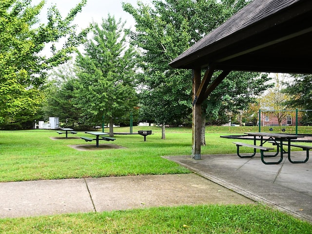 view of community with a yard