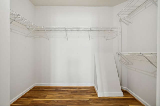 spacious closet featuring dark hardwood / wood-style flooring