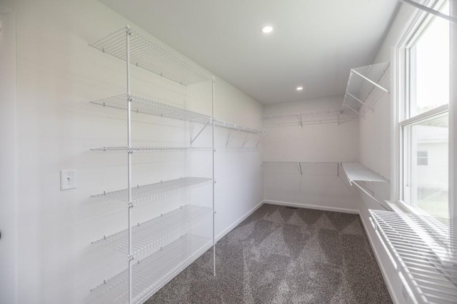 walk in closet with carpet