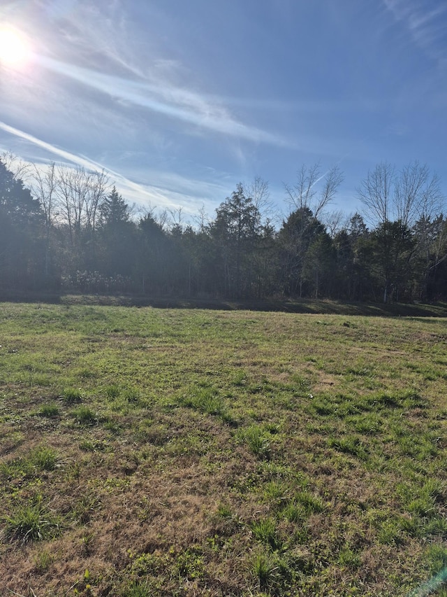 view of yard featuring a forest view