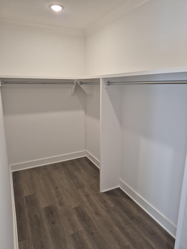 walk in closet featuring dark wood finished floors