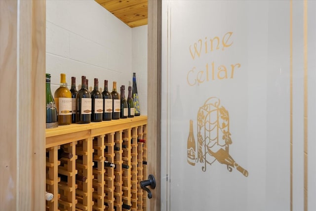 view of wine cellar