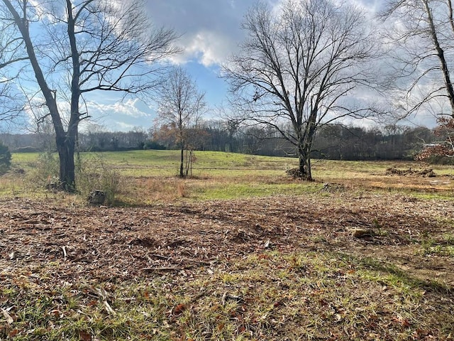 0 Thomas Twin Oaks, Baxter TN, 38544 land for sale