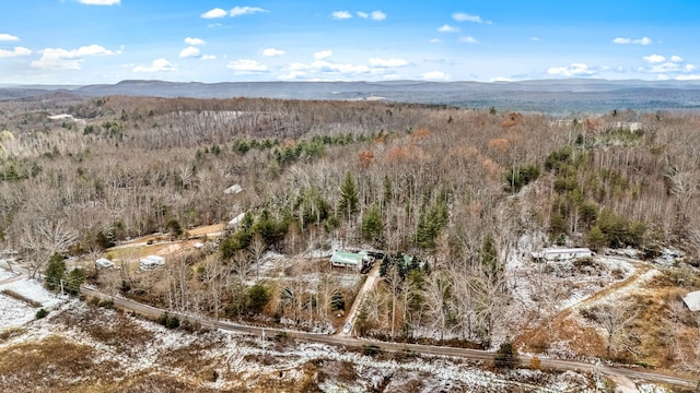 drone / aerial view with a mountain view