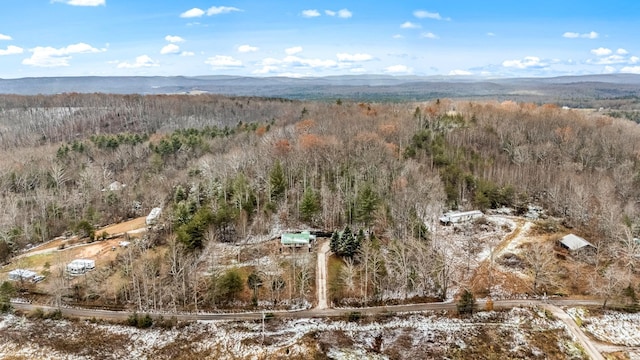 birds eye view of property featuring a mountain view