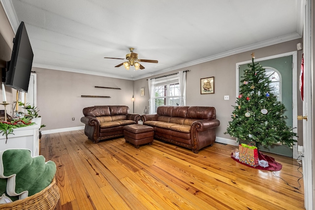 living room with ceiling fan, ornamental molding, and light wood-type flooring