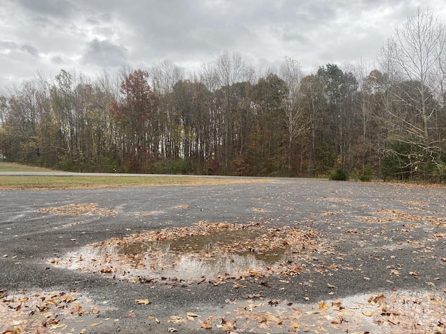 0 Ross Rd, Cedar Hill, TN 37032