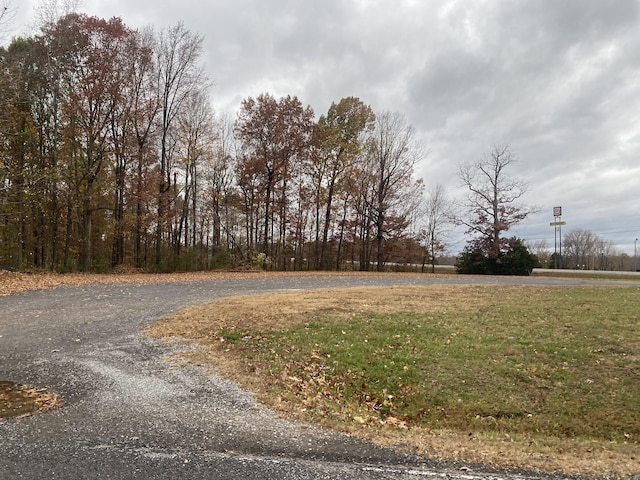 0 Ross Rd, Cedar Hill, TN 37032