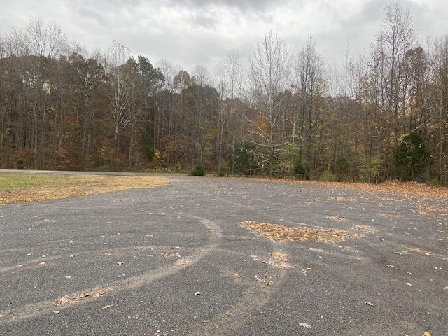 0 Ross Rd, Cedar Hill, TN 37032