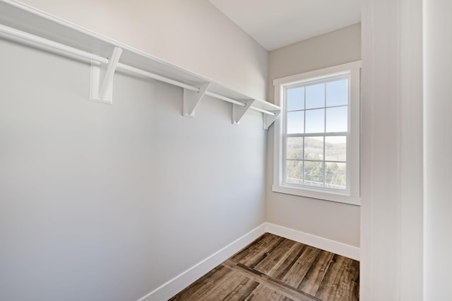 spacious closet with wood-type flooring