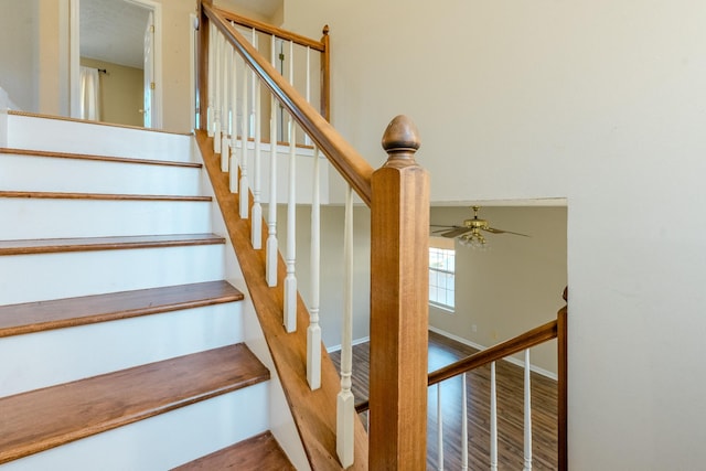 staircase with wood-type flooring and ceiling fan