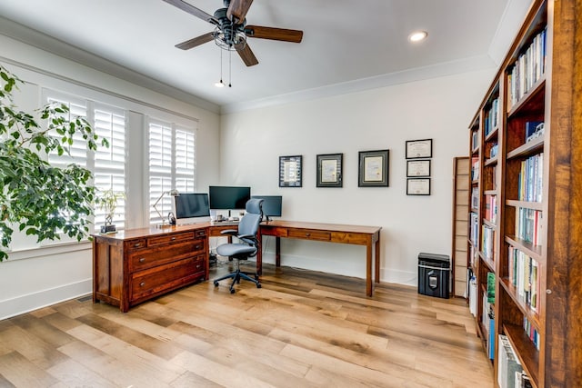 office with ceiling fan, light wood-type flooring, and crown molding