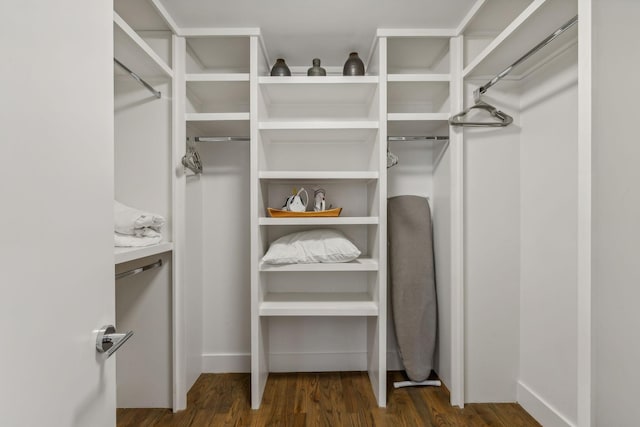 spacious closet with dark hardwood / wood-style flooring