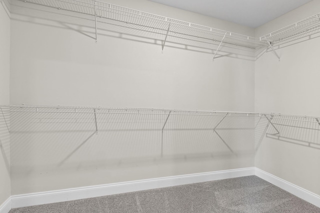1249 June Wilde Rdg, Spring Hill, TN 37174 - walk in closet featuring carpet flooring